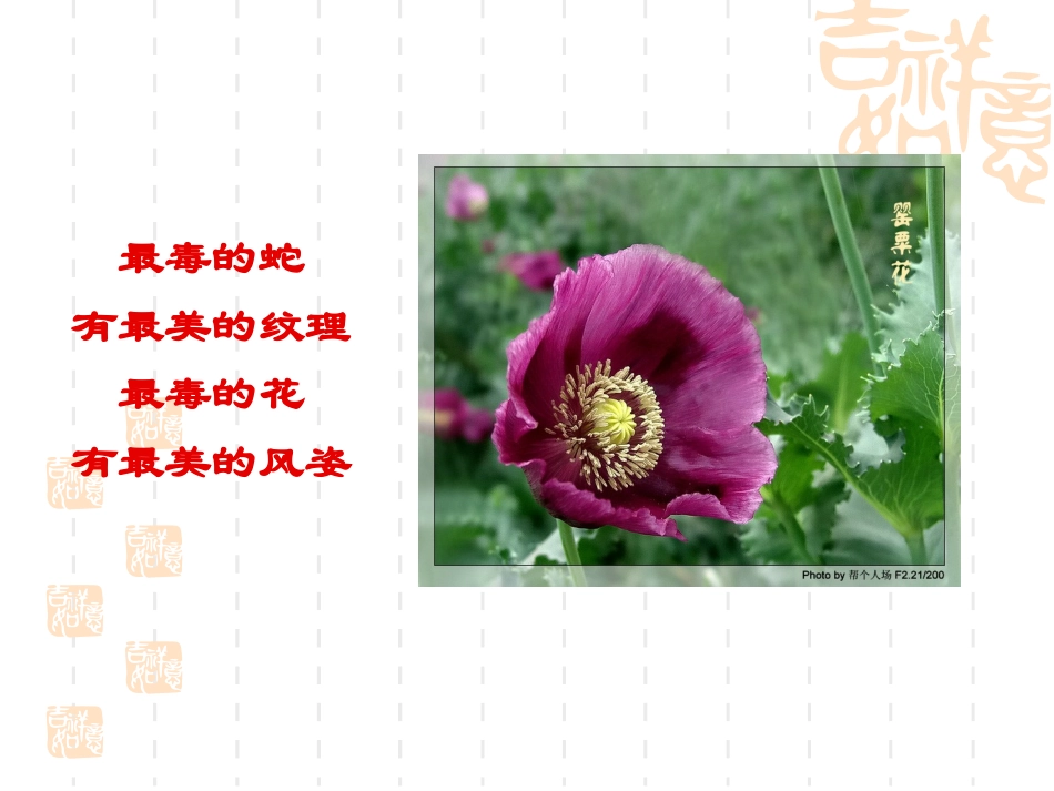 感恩，禁毒班会_第3页