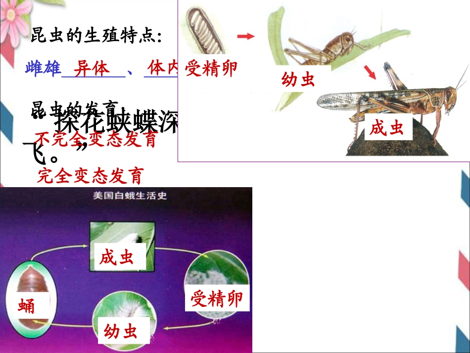 第二章动物的生殖发育复习_第2页