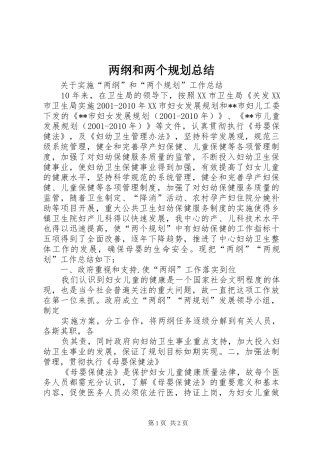 两纲和两个规划总结 