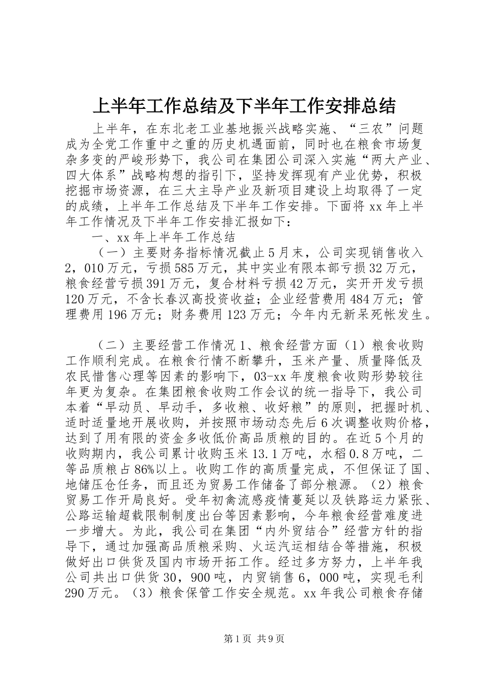 上半年工作总结及下半年工作安排总结 _第1页