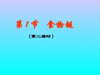 第1节食物链（第二课时）