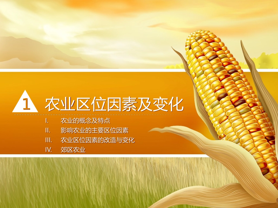 【原创】创新课件第二版高中地理同步教学精品课件：必修231农业的区位选择（34张）_第3页