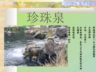 三年级下册语文《珍珠泉》