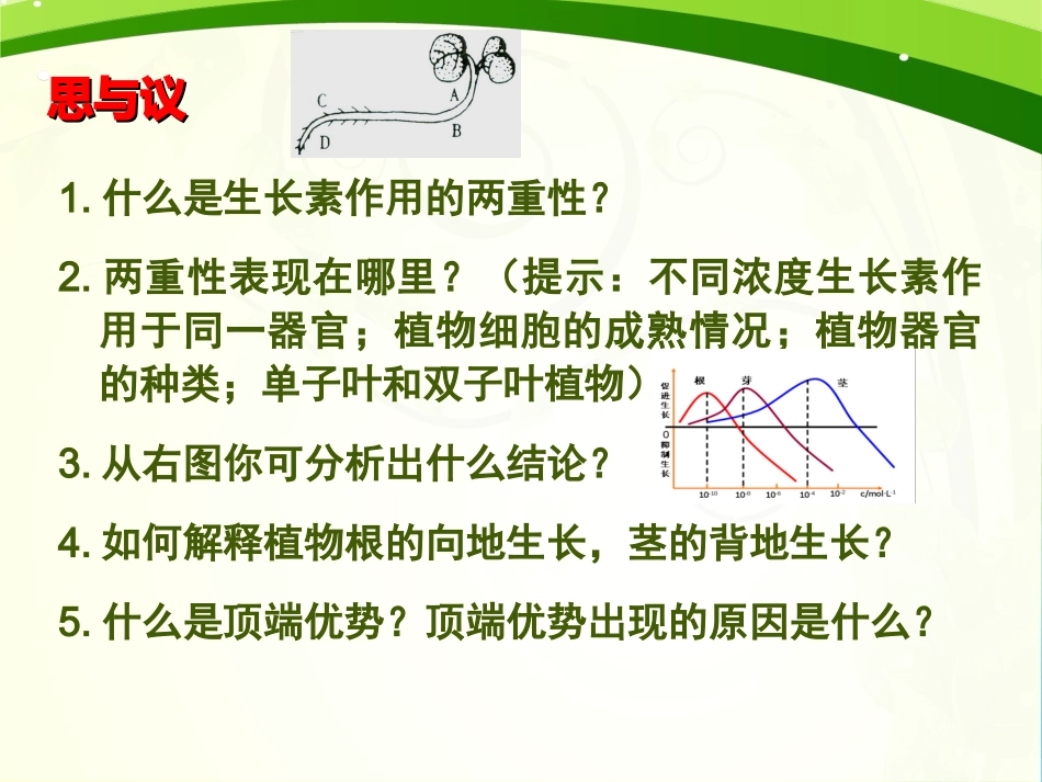 生长素的生理作用_第2页