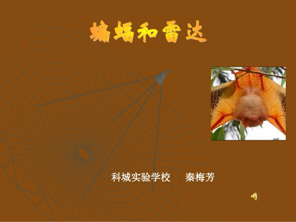 秦梅芳《蝙蝠和雷达》课件1_第1页