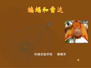 秦梅芳《蝙蝠和雷达》课件1