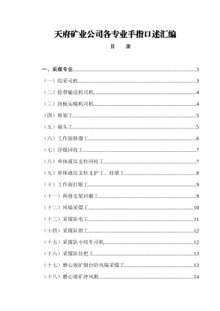 某矿业公司各专业手指口述汇编