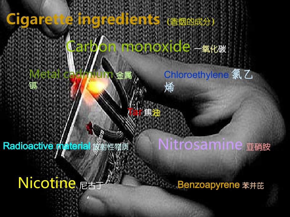 吸烟有害健康English_第2页