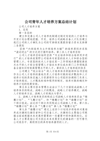 公司青年人才培养方案总结计划 