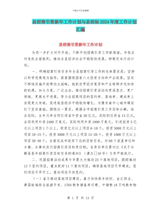 县招商引资新年工作计划与县招标2024年度工作计划汇编
