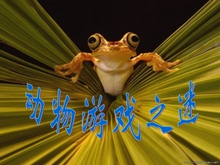 《动物游戏之谜》优秀课件_