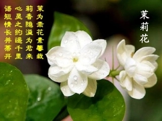 四年级音乐上册第一课时课件