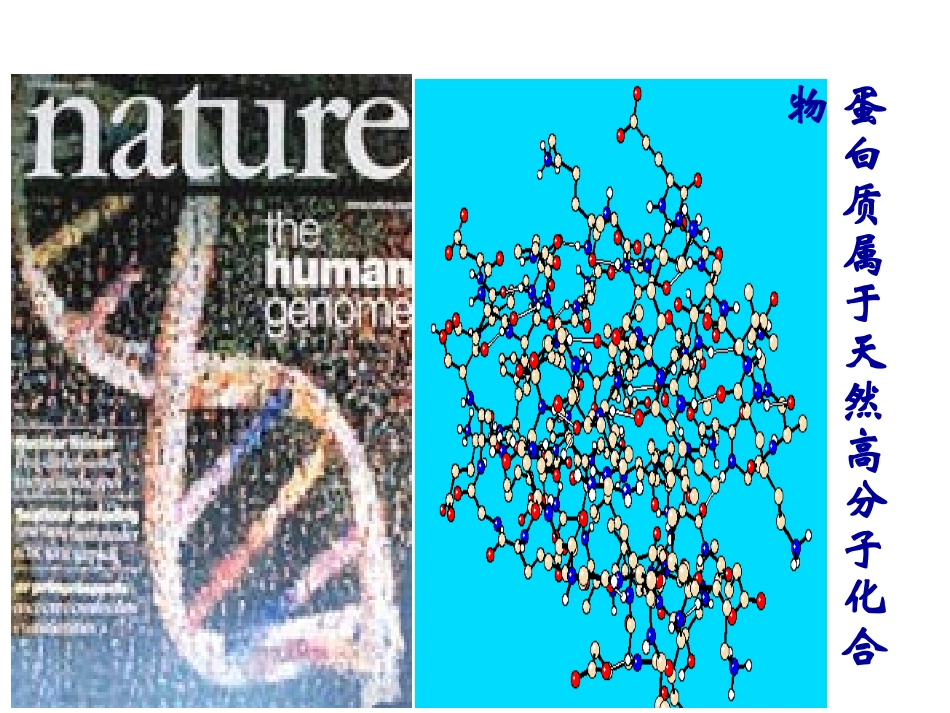 选修（5）431蛋白质和核酸_第3页