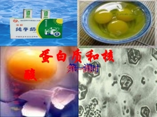 选修（5）431蛋白质和核酸