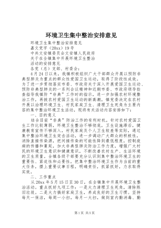 环境卫生集中整治安排意见 
