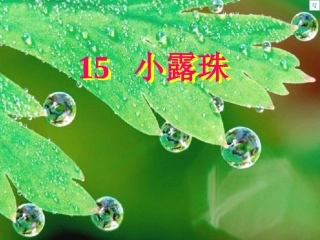 三年级语文上册第五组2小露珠第二课时课件