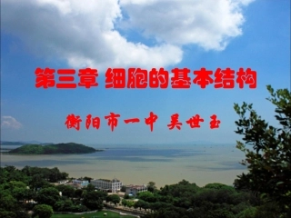 细胞膜---系统的边界(吴世玉)