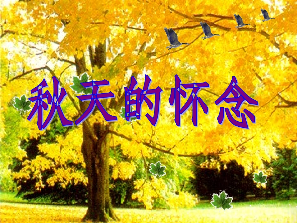 秋天的怀念MicrosoftPowerPoint幻灯片(2)_第3页