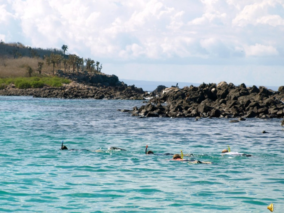 大自然的秘密_第3页