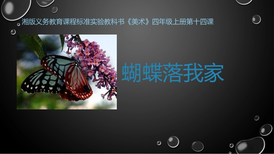 《蝴蝶落我家》课件_第1页