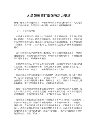 A品牌啤酒打造强势动力渠道(12)