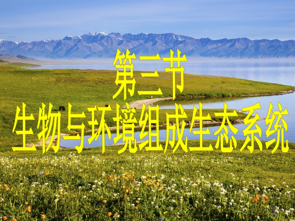 《生物与环境组成生态系统》_第1页