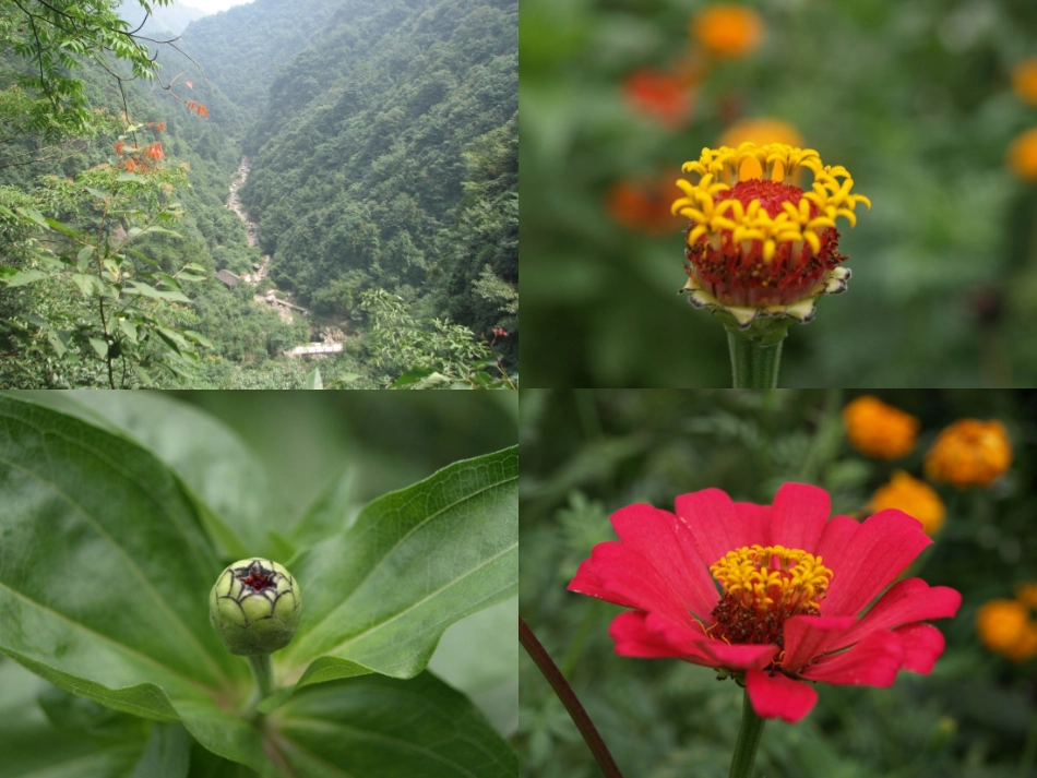 《生物与环境组成生态系统》_第3页