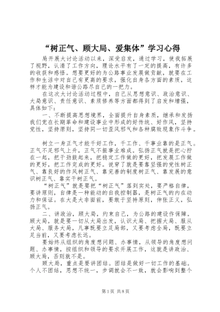 “树正气、顾大局、爱集体”学习心得