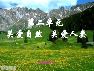 日益严峻的生态危机