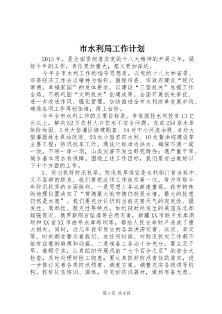 市水利局工作计划 