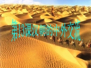 第13课汉朝的中外交流