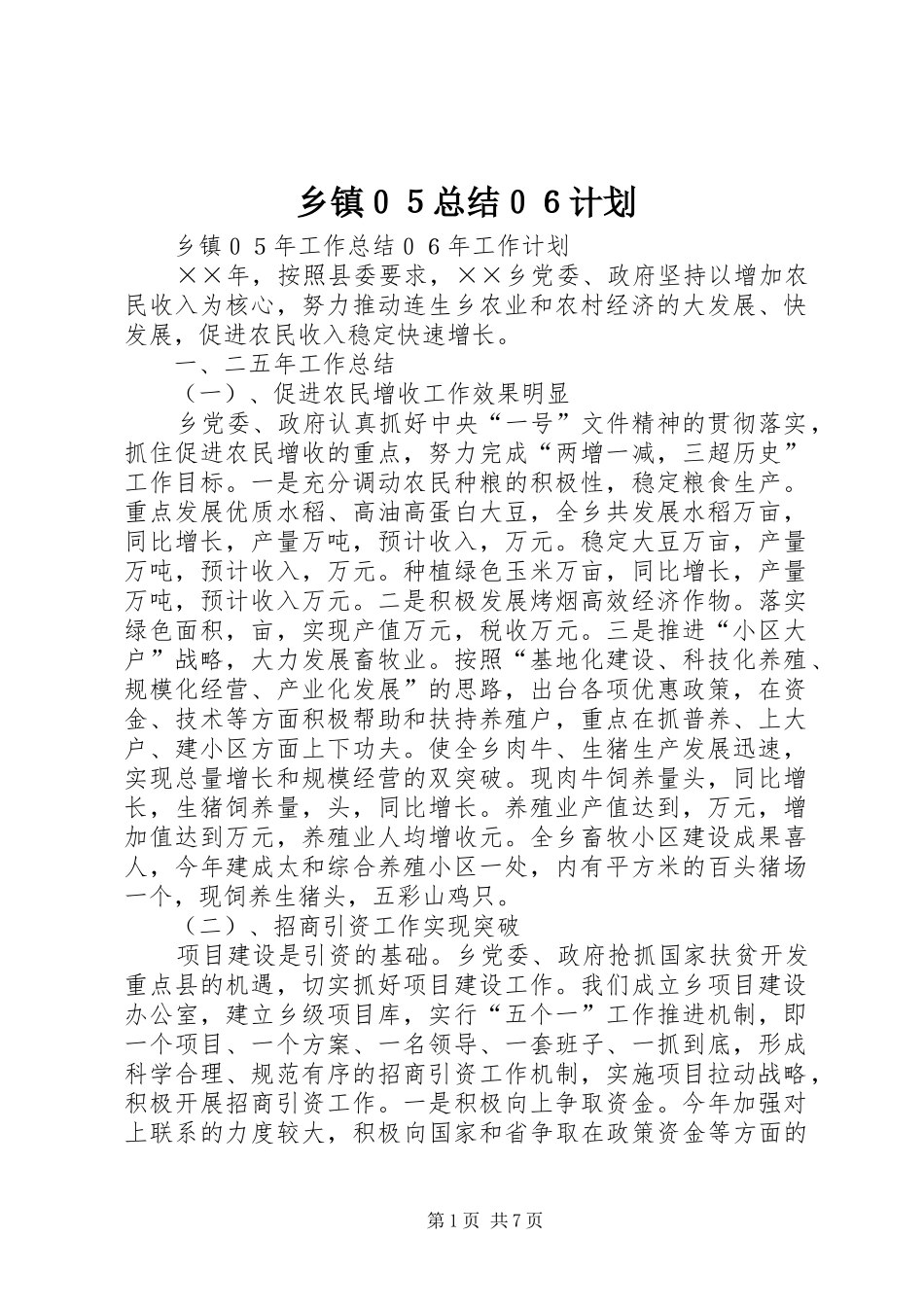 乡镇０５总结０６计划 _第1页