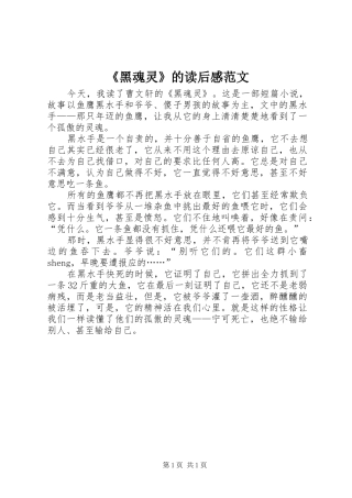 《黑魂灵》的读后感范文