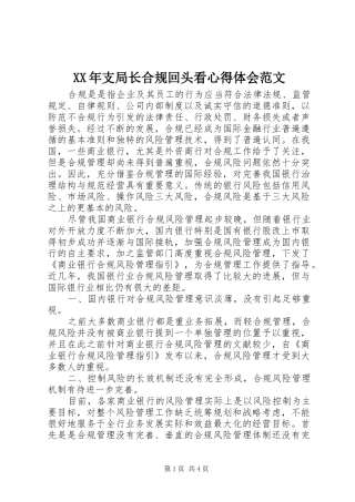 XX年支局长合规回头看心得体会范文