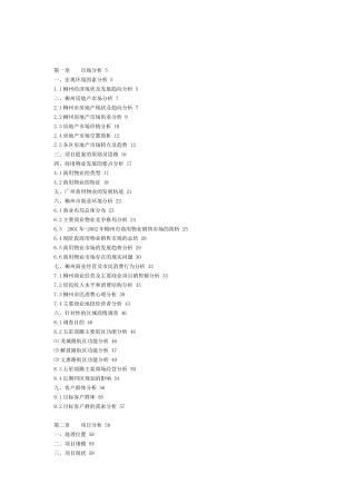 柳州一商业地产项目策划报告
