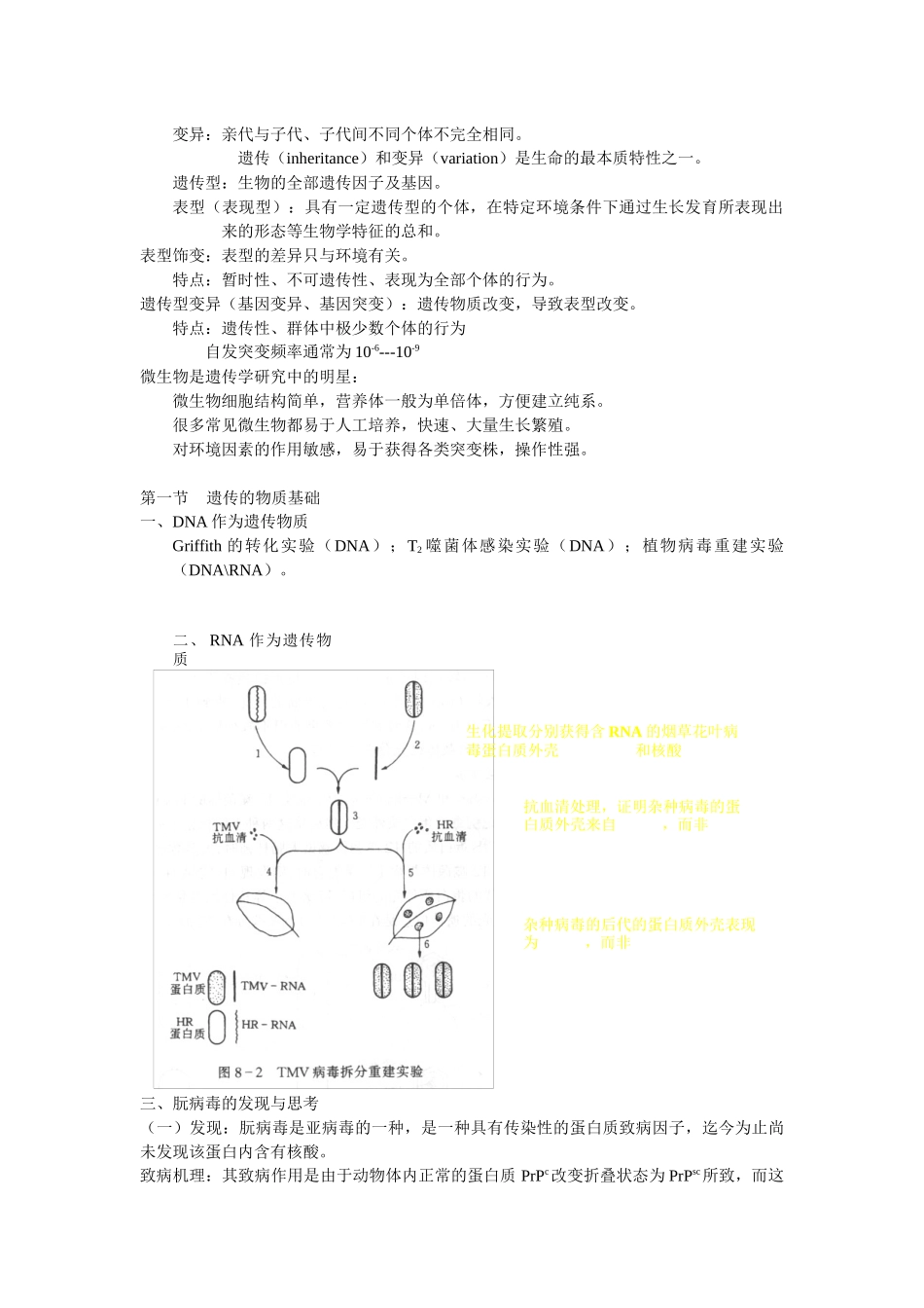 第9章微生物学6-1_第3页