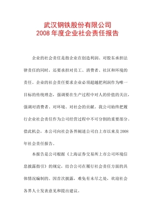 武汉某钢铁公司企业社会责任报告书