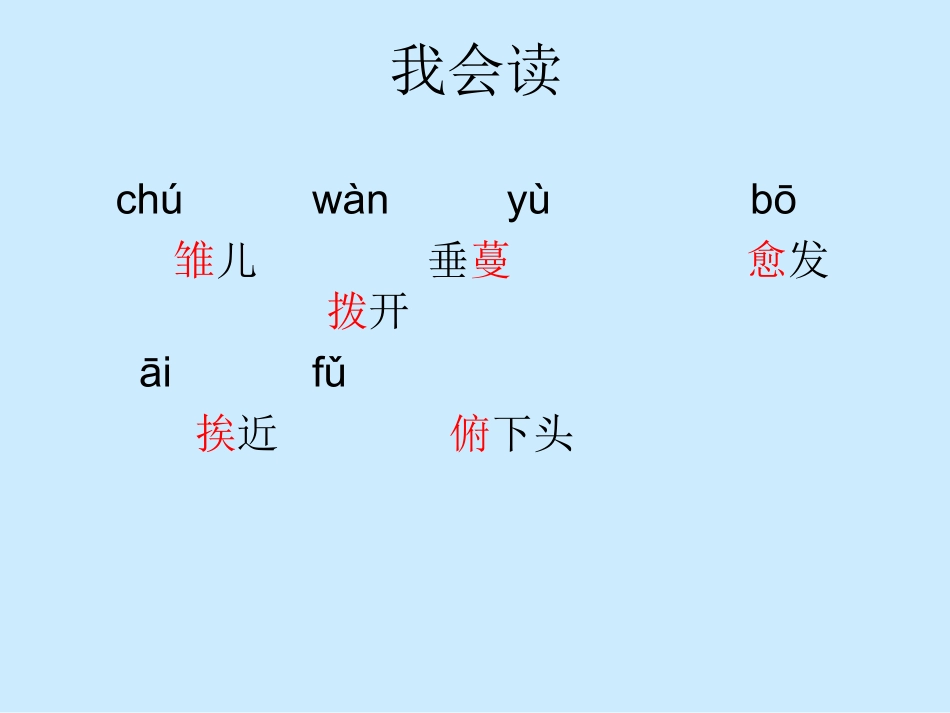 人教版小学语文五年级上册《珍珠鸟》课件_第3页