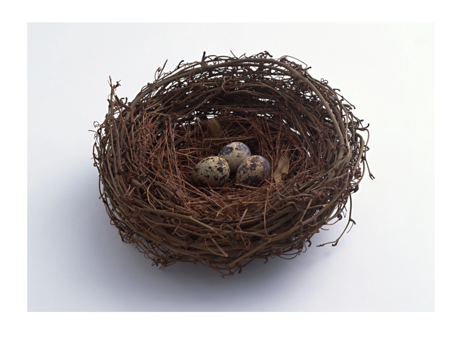 《再见了,北京!》_第3页