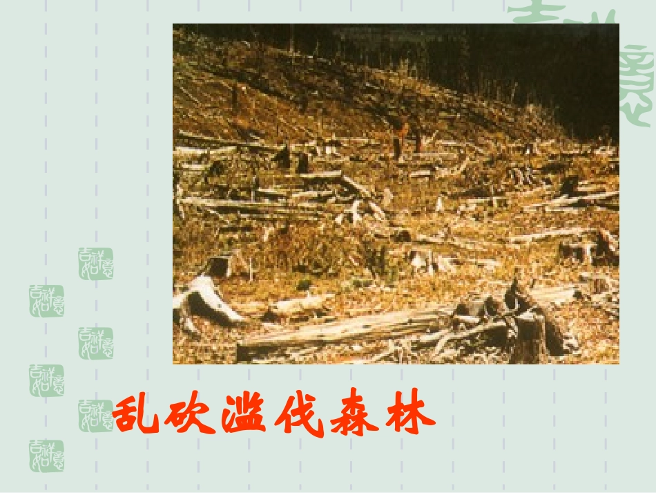 人口增长对生态环境的影响_第3页