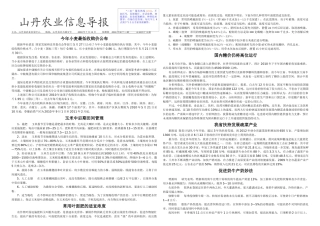 XXXX年第13期-山丹农业信息导报