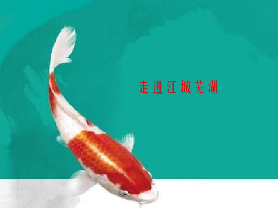 走进江城芜湖_第1页