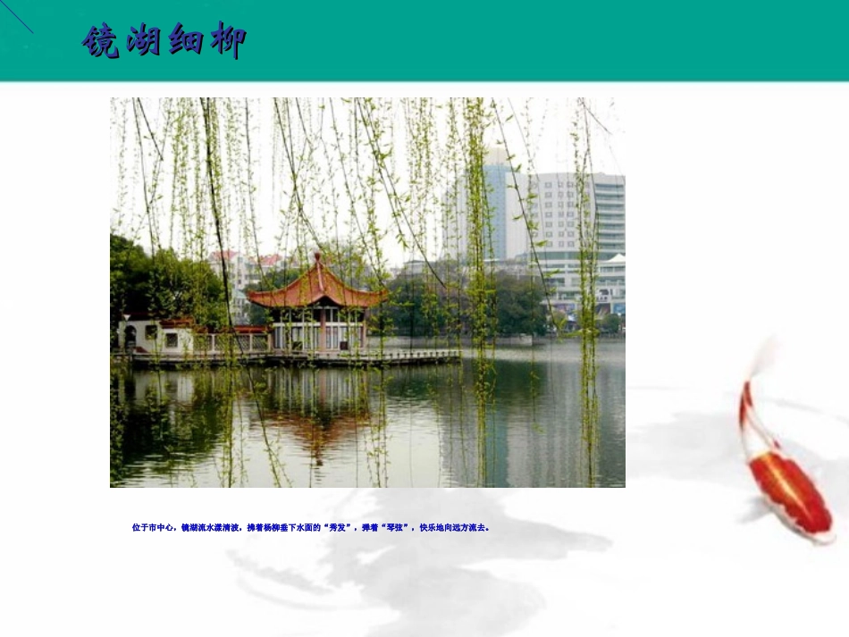 走进江城芜湖_第3页