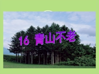 青山不老课件PPT