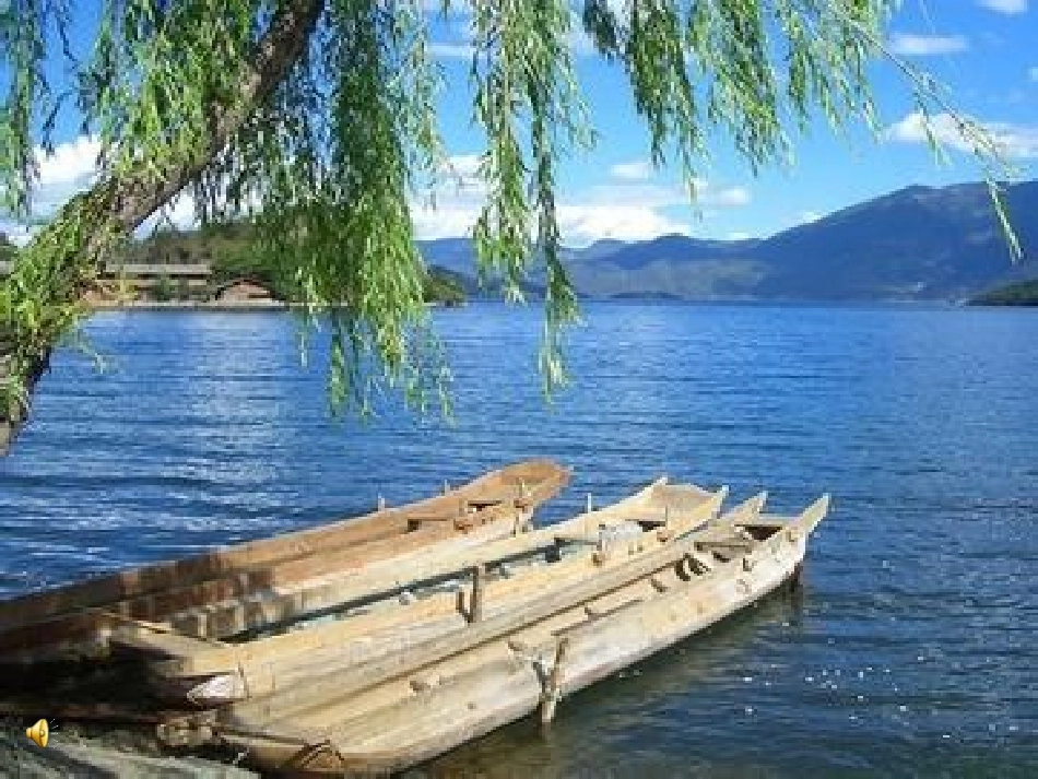 《蝉》课件ok_第3页