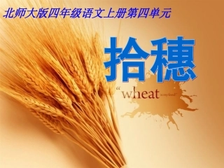 拾穗课件 (2)