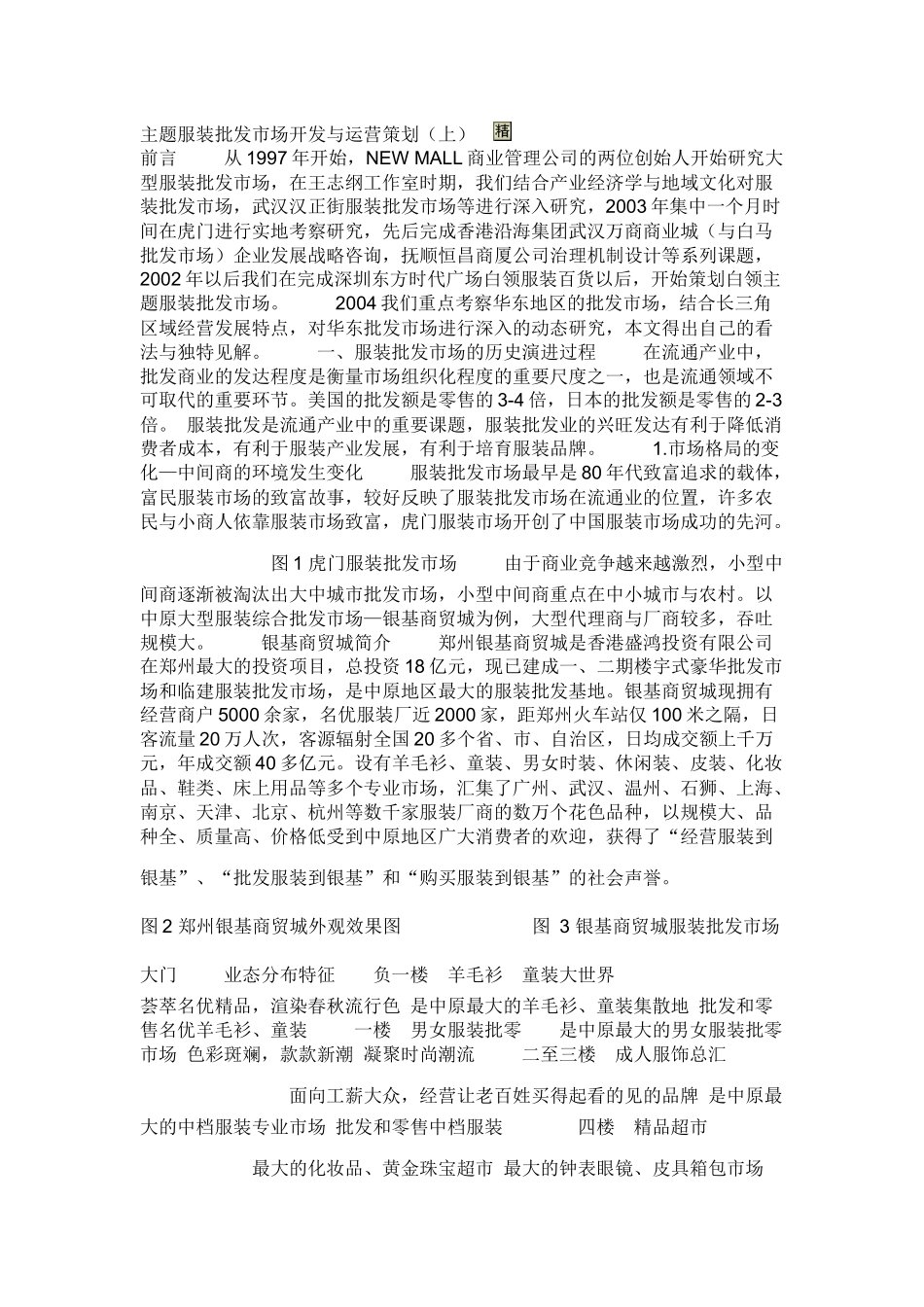 主题服装批发市场开发与运营策划_第1页