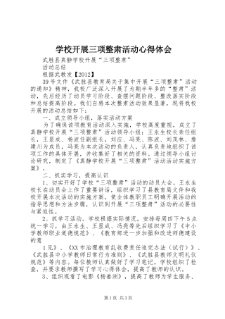 学校开展三项整肃活动心得体会