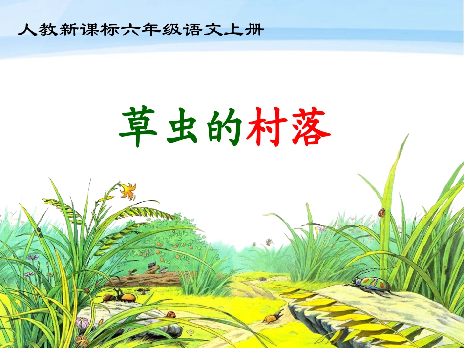 六年级语文上册草虫的村落课件1人教新课标版_第1页