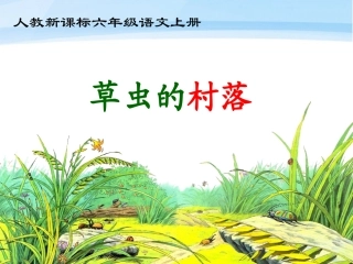 六年级语文上册草虫的村落课件1人教新课标版